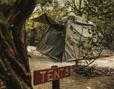 Bamba Kofi Tented Camp-Tent 3